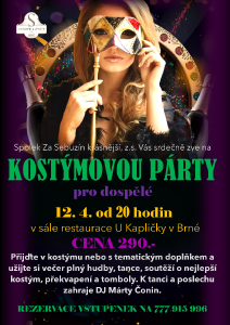 sebuzin_kostymova_party.png