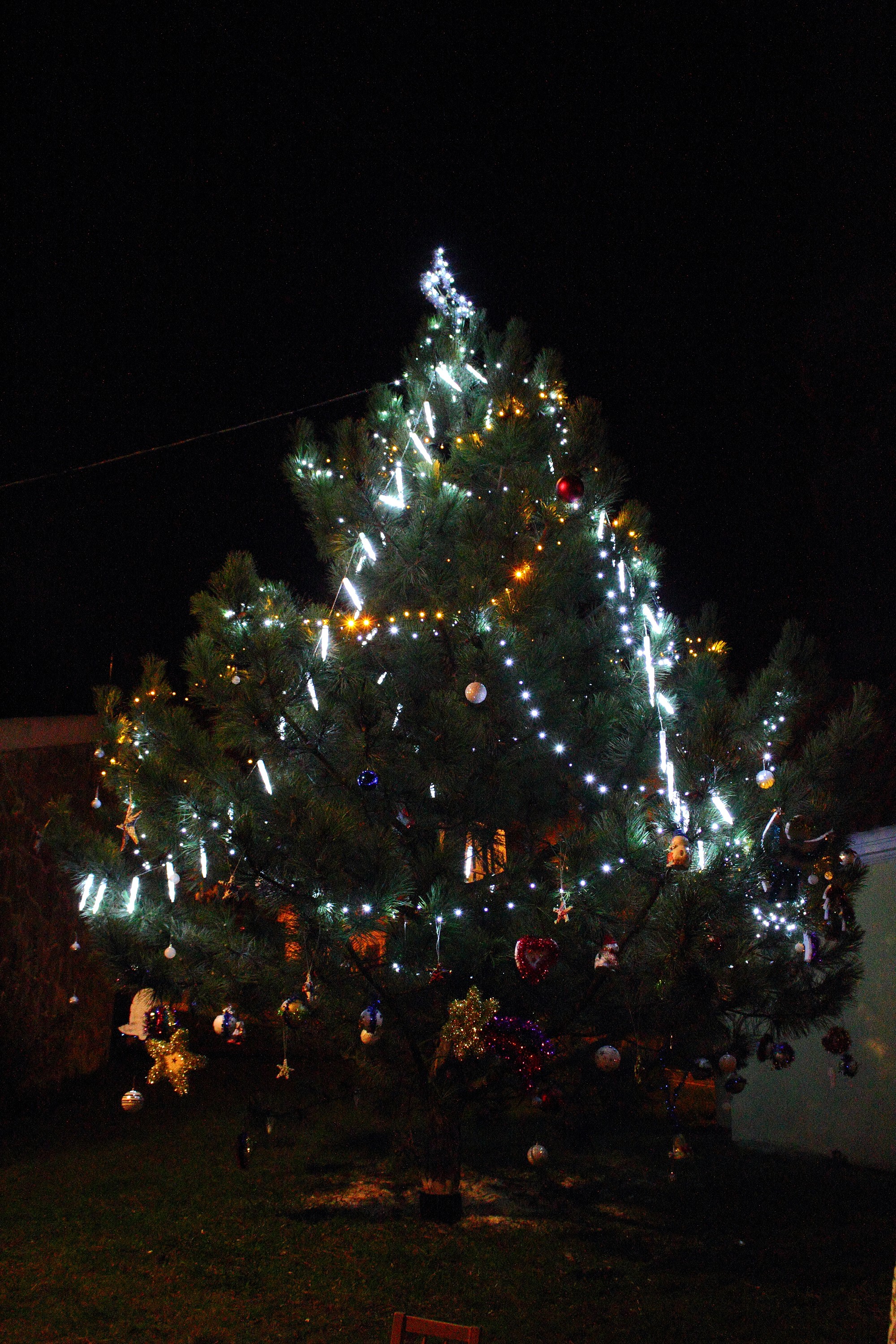 Rozsvícení  sebuzínského vánočního stromu 2014
